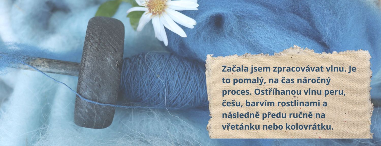 česance vlny barvené indigem